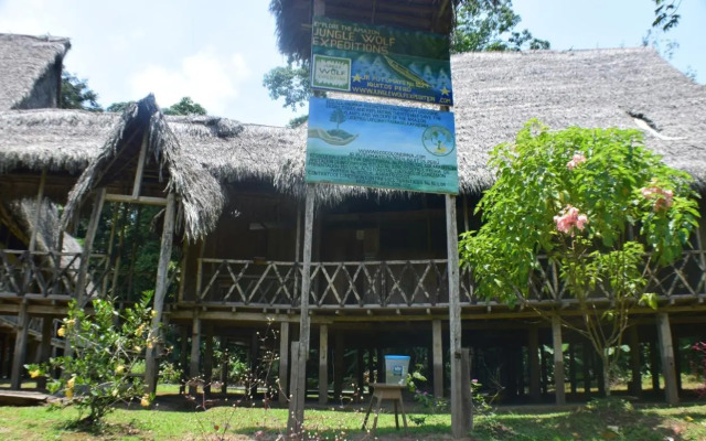 Lodge Jungle Wolf Expeditions