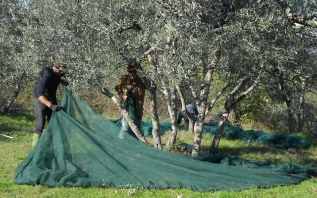 Chiesa Di San Michele
