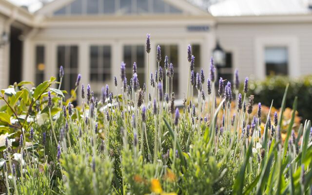 Kurrajong House Launceston