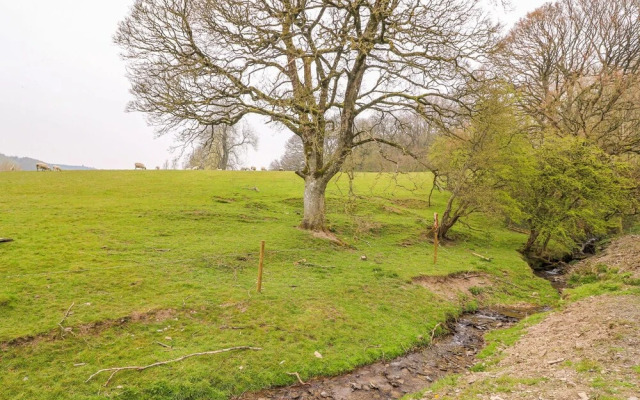 Pines Pitch
