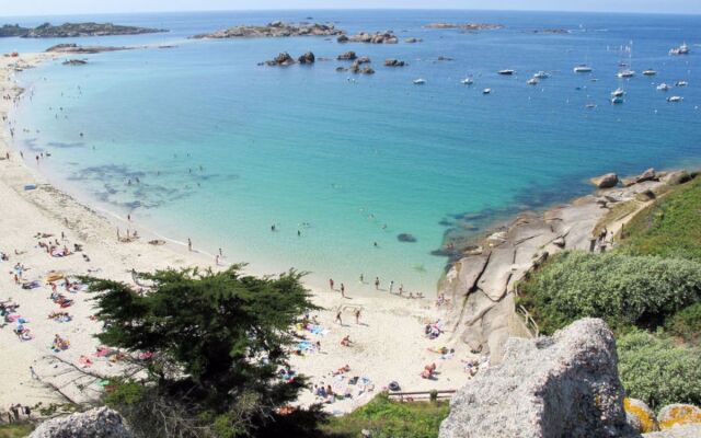 Les Cormorans (TGP101)