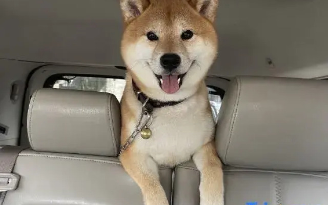 Wengu 1970 Panorama Holiday Hotel