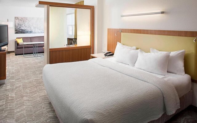 SpringHill Suites Savannah Downtown / Historic District