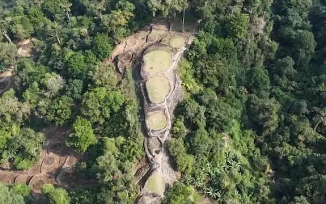 Tree of Life - Hostel