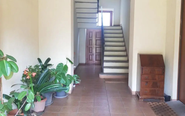 Il Gelsomino