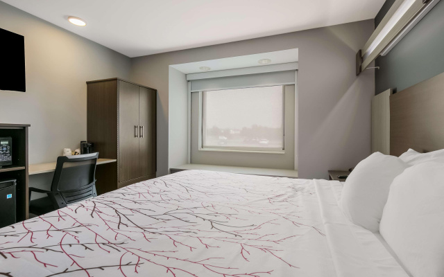 SureStay Plus Hotel by Best Western Sevierville