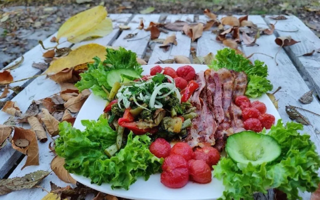 Organic House & Aquapark