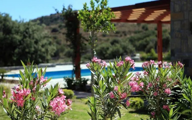 Bodrum Luxury Farm House - 2017