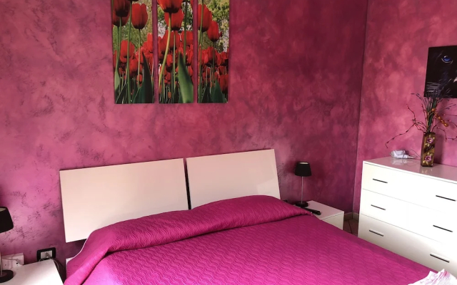 The Maze B&B