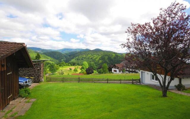 Apartment in Kleines Wiesental, Sallneck