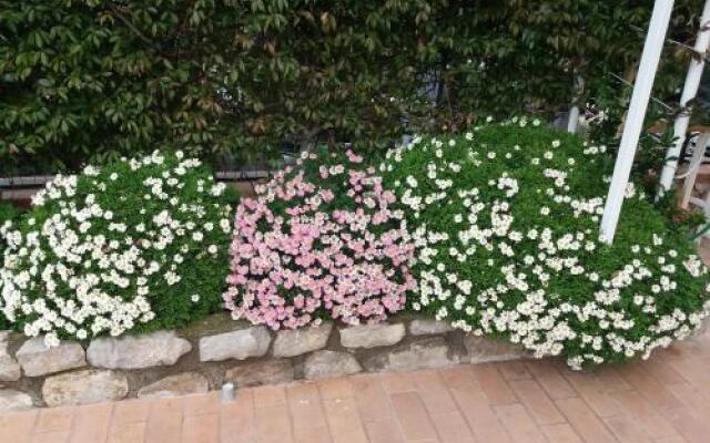 Bed And Breakfast 3 Stars Vico Equense