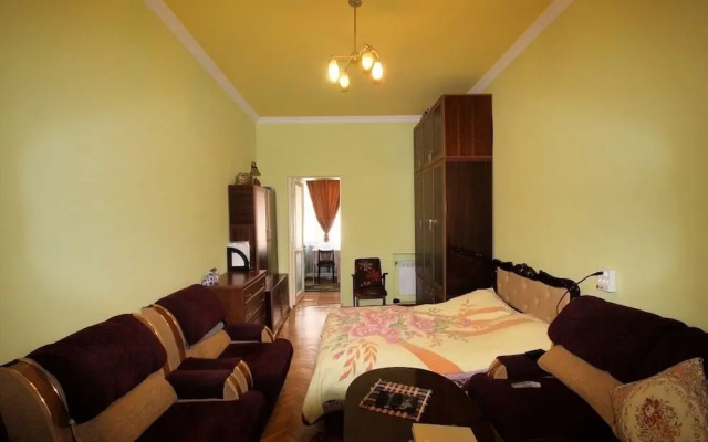 Cosy newly renovated apartment in the very center of Yerevan