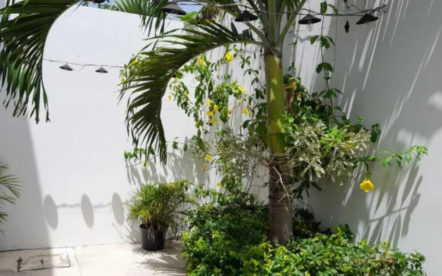 Paraíso Casa Turquesa Playa del Carmen