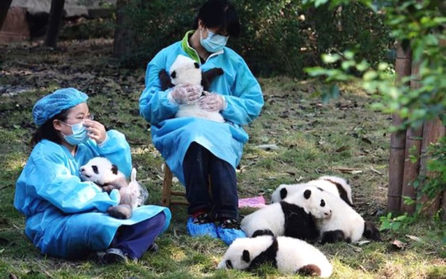 Chengdu Joy Family Apartment