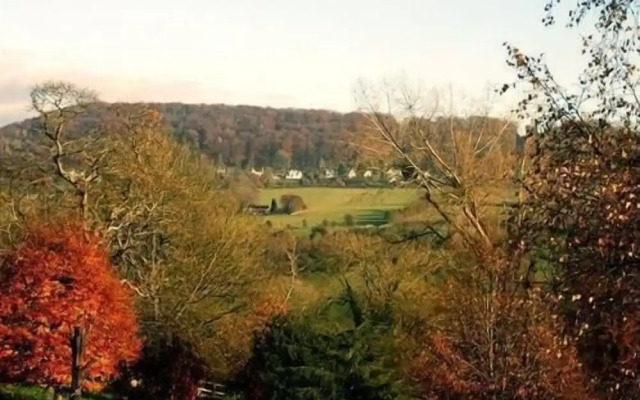 Tibbiwell Lodge - B&B