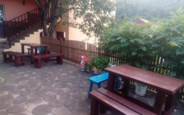 Guest House Olesya