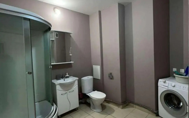 Apartments on 231 Chkalova Street