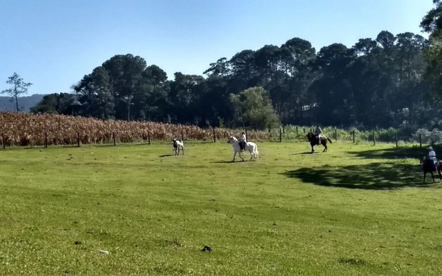 Pousada Centro Equestre Camila Sais