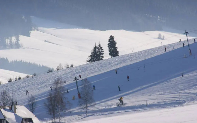 Hotel Schwarzwaldgasthof Zur Traube