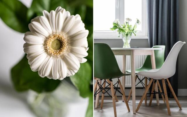 Sanhaus Apartments - 13 Chopina Street