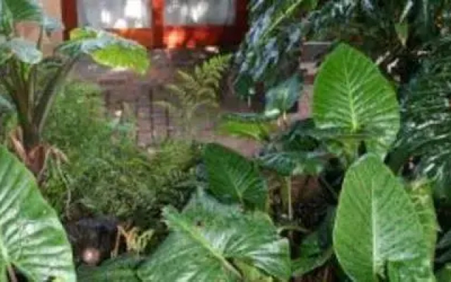 Breena BnB Guest House