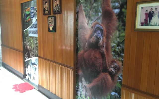 Arut Riverside Orangutan Guest house