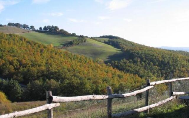 L'Albero Bianco