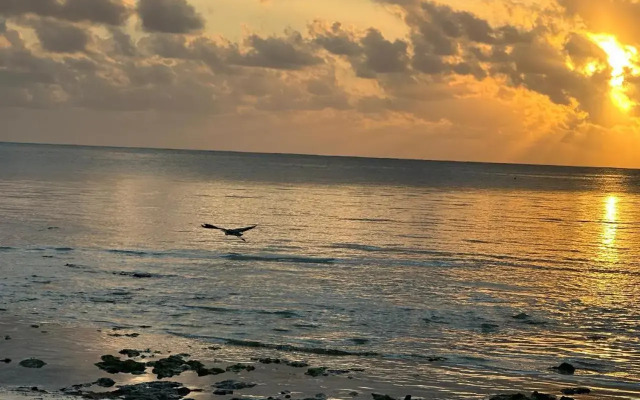 Villa Serenity Zanzibar