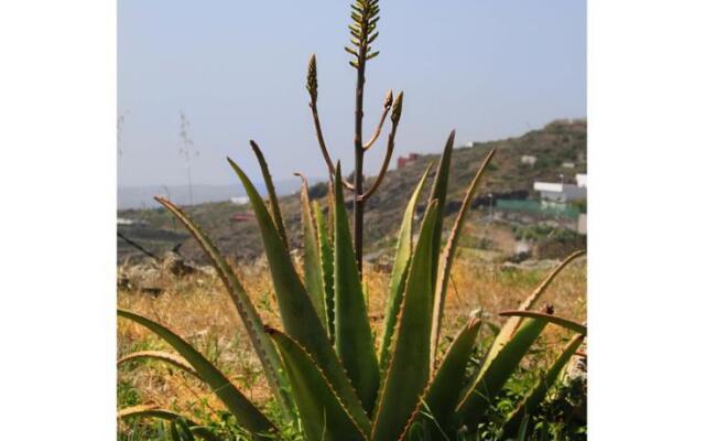 Casa Rural La Vista Tenerife