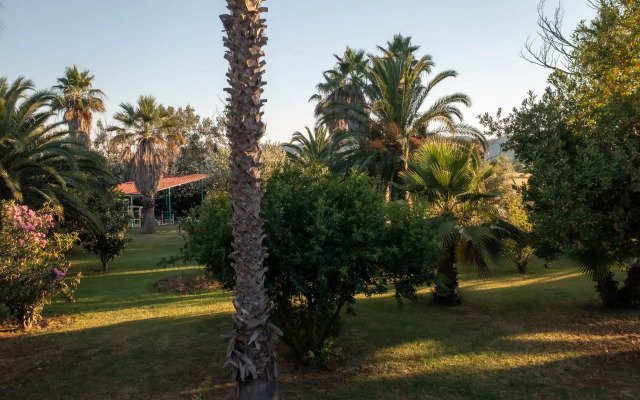 Palma Village Hotel by Greek Pride