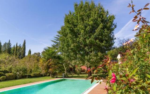 Ginestraio in Sant'Albino