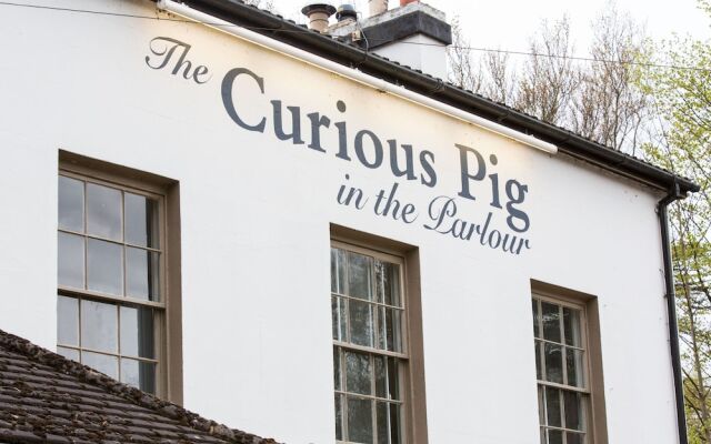 The Curious Pig in the Parlour