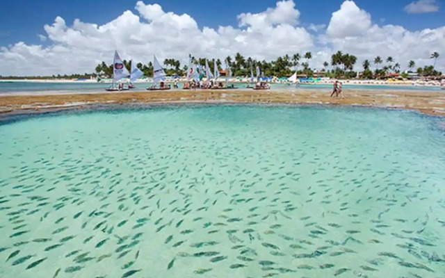 Beach Class Muro Alto