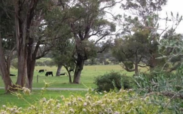 Woody Grange Chalets