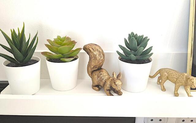 Rêves Paisibles Onyx - Choisy