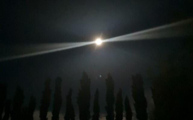 Complejo Río los Patos - Cabañas y Hostel