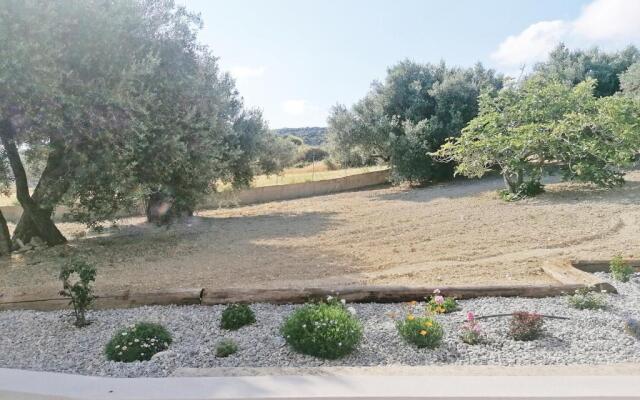Stavi's Guesthouse