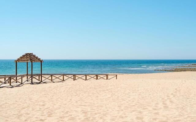 Bungalows La Aceitera - Apartamento 1