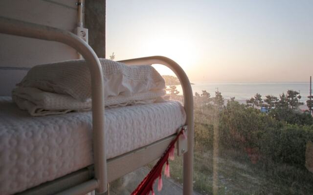 Nest Hostel