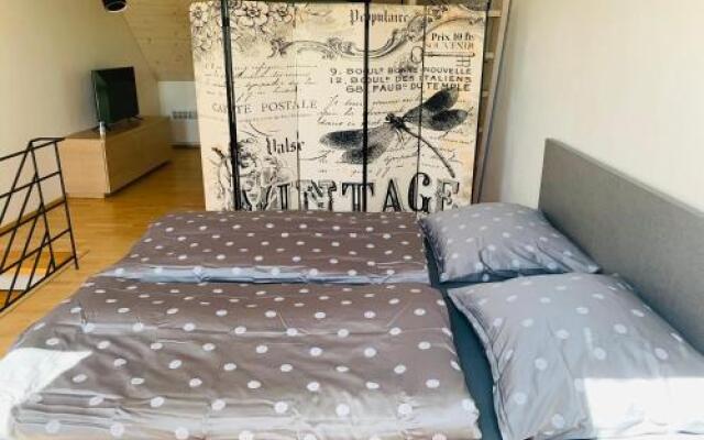 Apartmán U Venuše