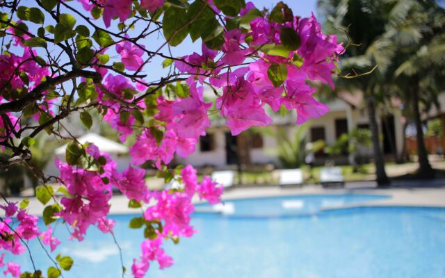 Nam Chau Boutique Resort – Mui Ne Passion