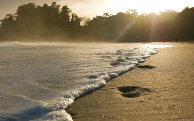 Stay Bocas