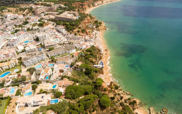 Superb Apartments 2 Bedroom