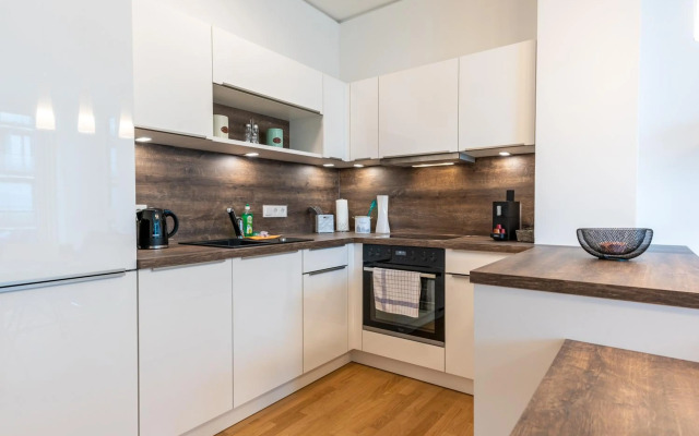 Apartment over the roofs of Vienna