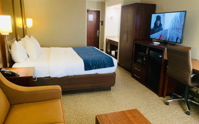 Comfort Inn & Suites Conway