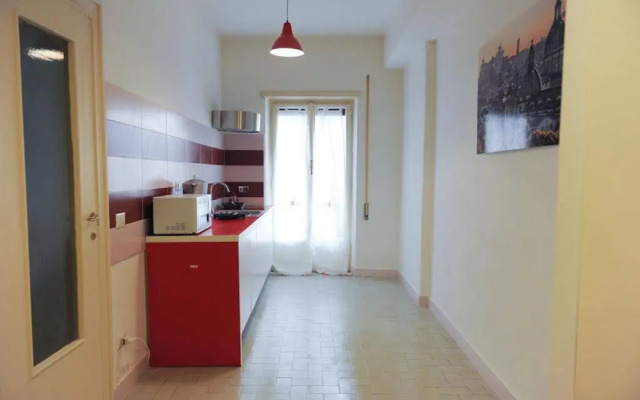 Lucky Domus Vaticanum