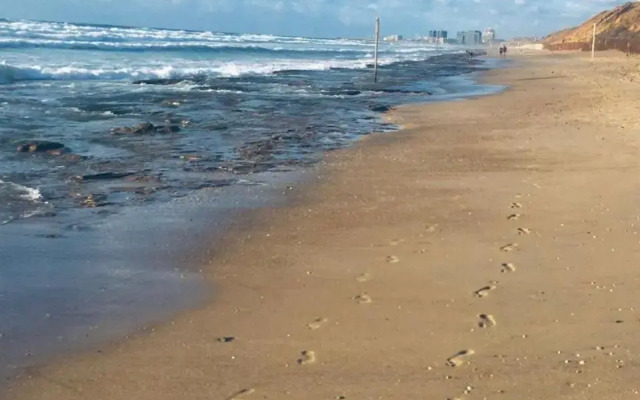 דירת סטודיו על הים בצפון תל אביב