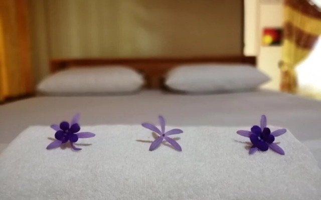 Viveka Inn Guest