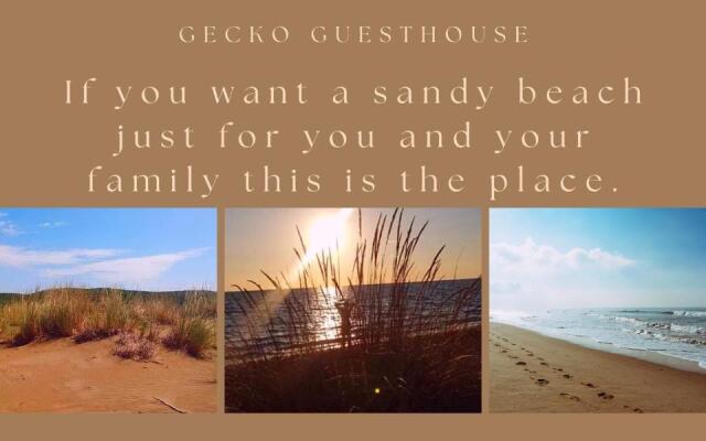 Gecko guesthouse
