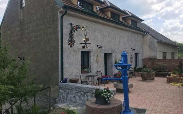 Boutique Hotel Pri Mlyne